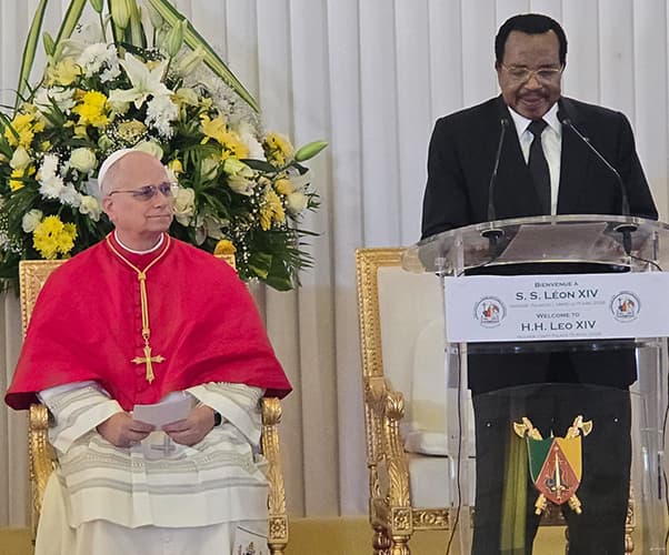 Pope Leo XIV in Africa