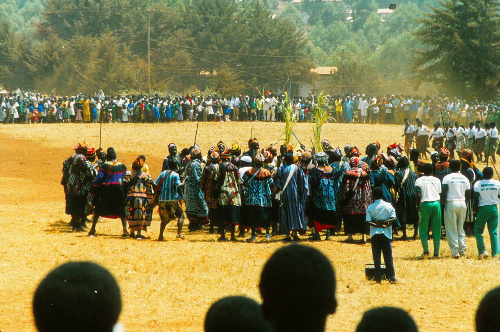 Traditional dance of Wimbum, around 1990 in Nkambe-town, Cameroon. (Credit: Wikipedia.)