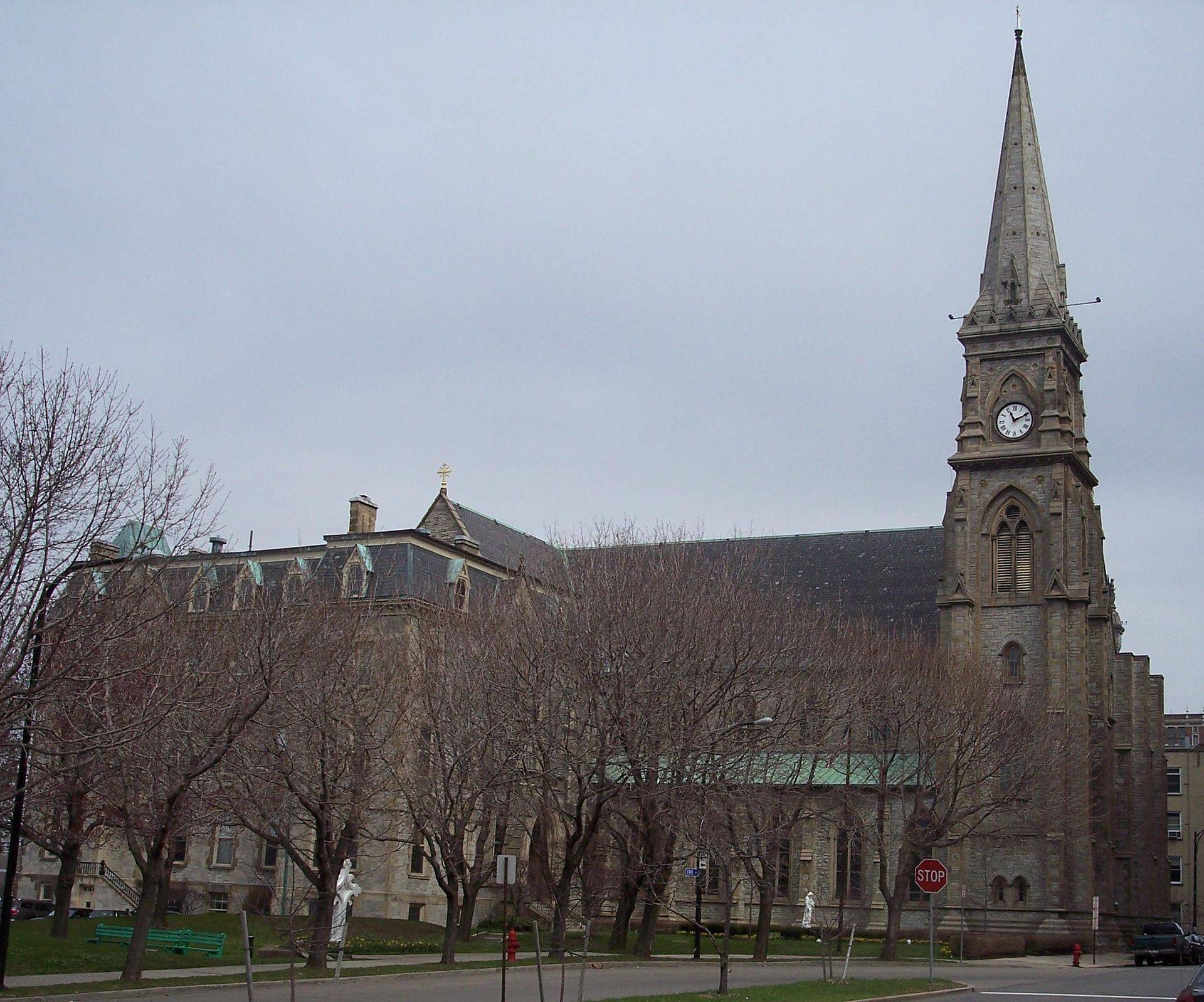 Saint Joseph Cathedral in the Diocese of Buffalo. (Credit: Wikimedia Commons.)