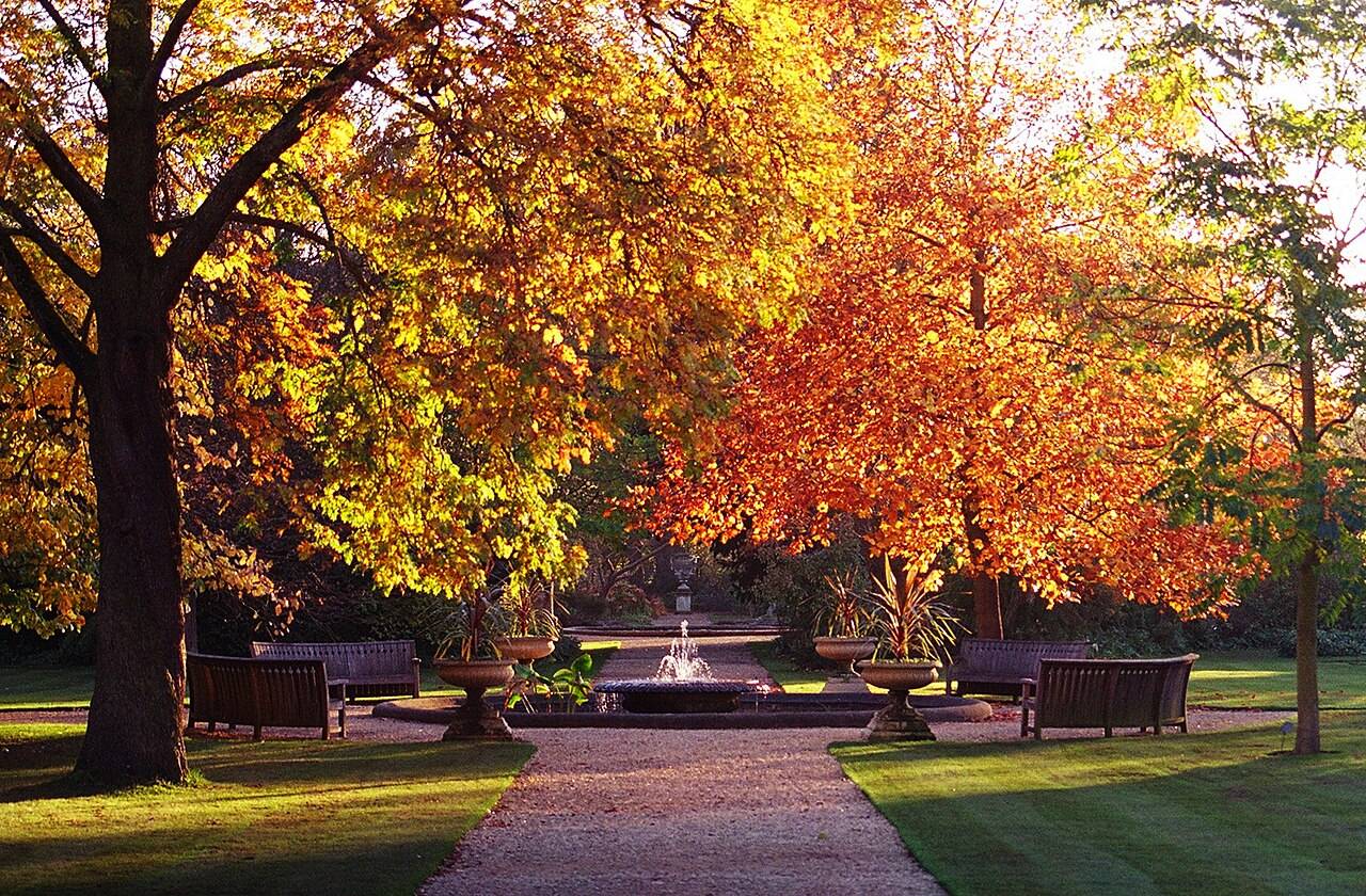 The Oxford Botanic Garden in England. (Credit: Wikimedia.)
