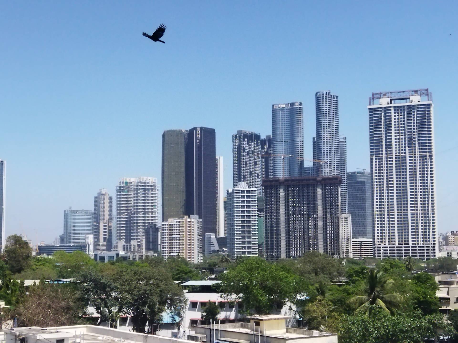 Mumbai, India. (Credit: Wikimedia.)