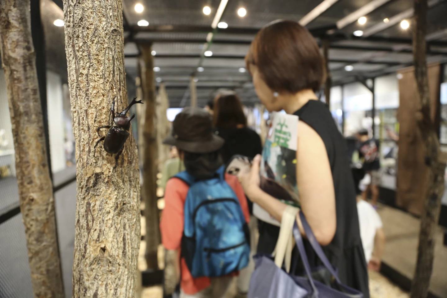 A child with other people walks around a cage to look at bugs at an exhibition devoted to insects in Tokyo, Japan, July 31, 2025. (Credit: Yuri Kageyama/AP.)