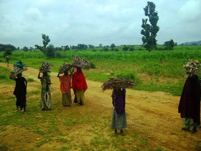 Women gathering firewood in rural Zamfara, Nigeria. (Credit: Wikipedia.)