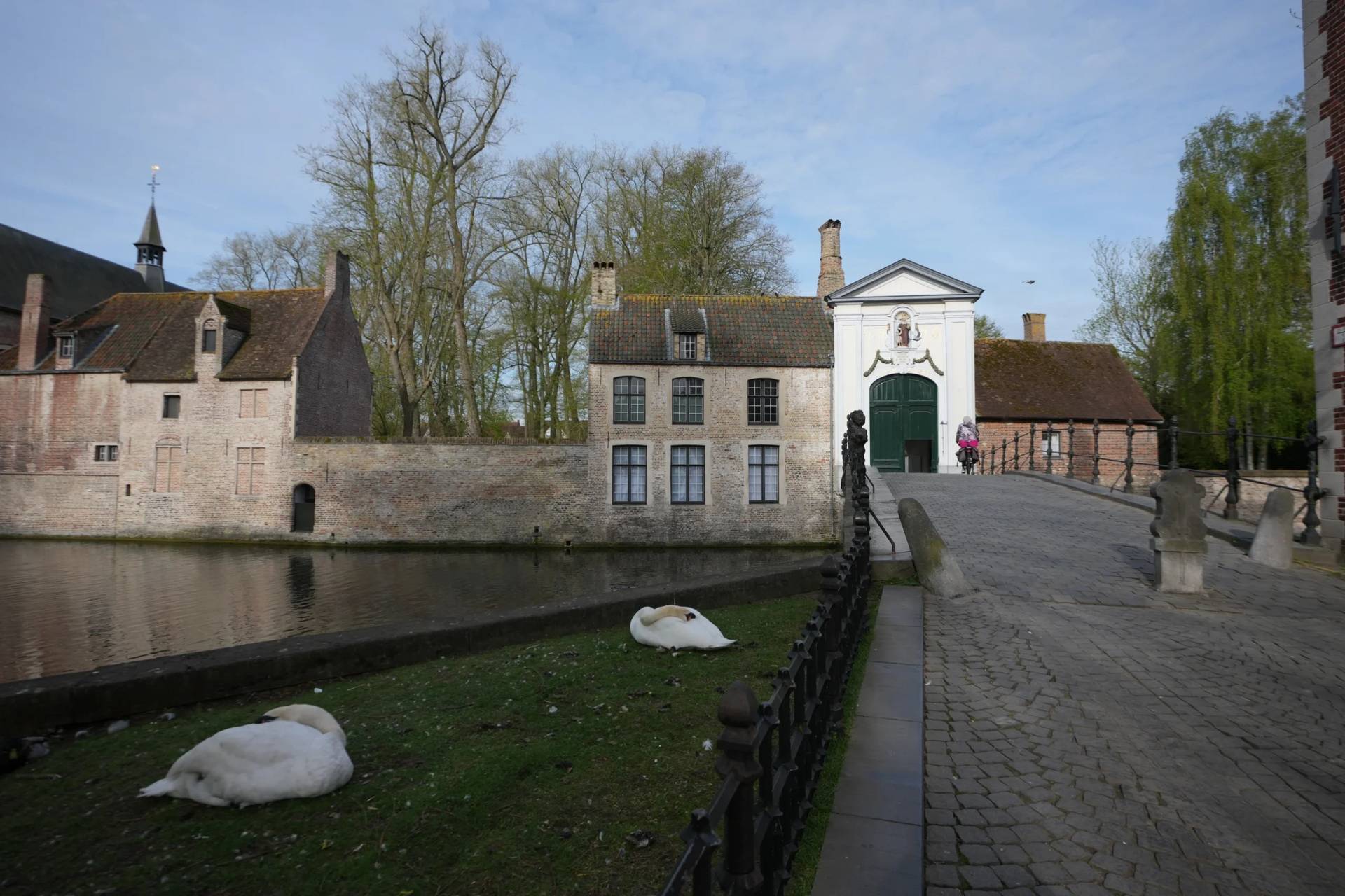 Swans sleep outside the gate of the Beguinage Ten Wijngaerde in Bruges, Belgium, Wednesday, April 15, 2026. (Credit: Virginia Mayo/AP.)