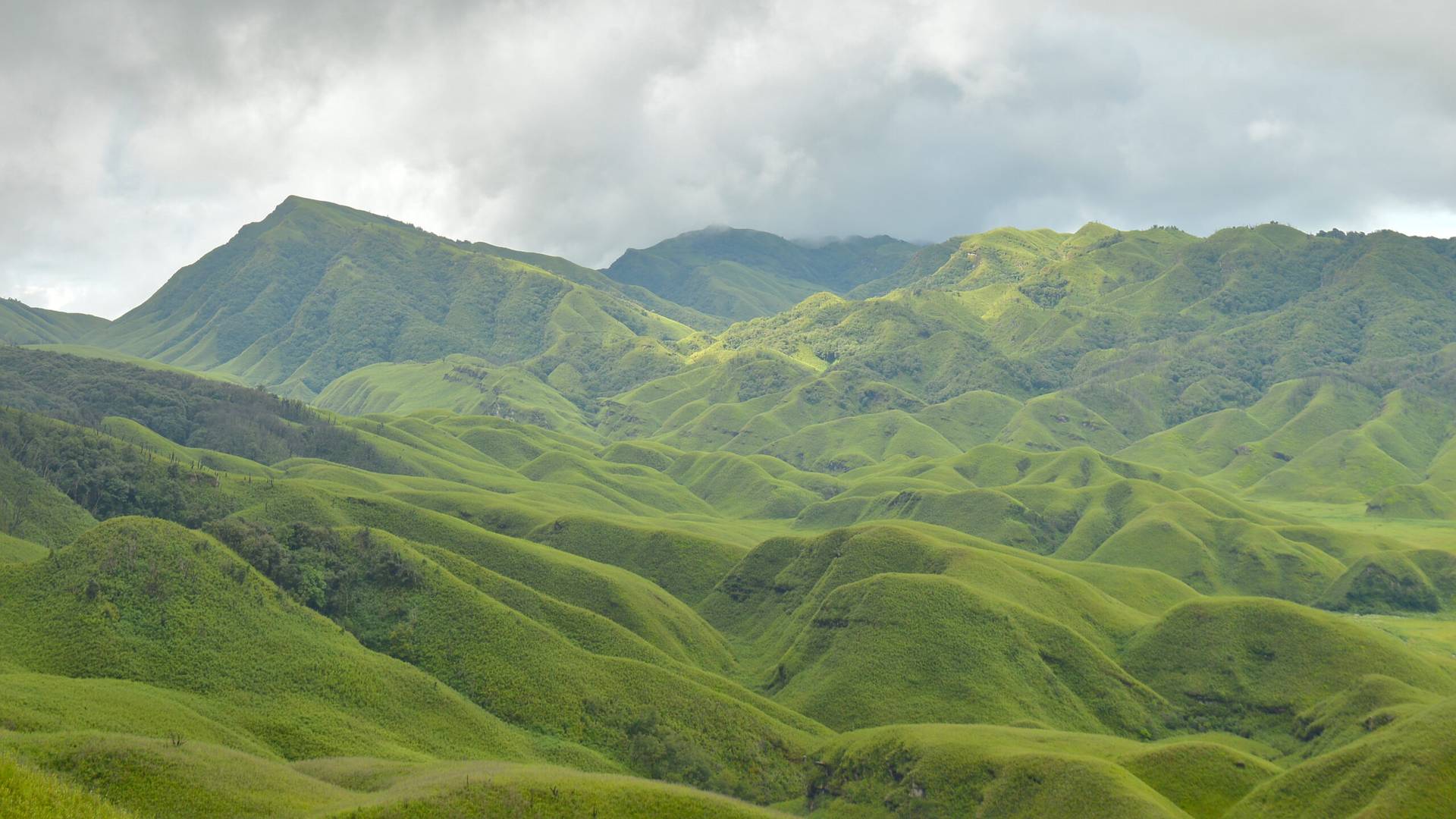 Dzukou valley near the Manipur-Nagaland border in India. (Credit: Wikimedia.)