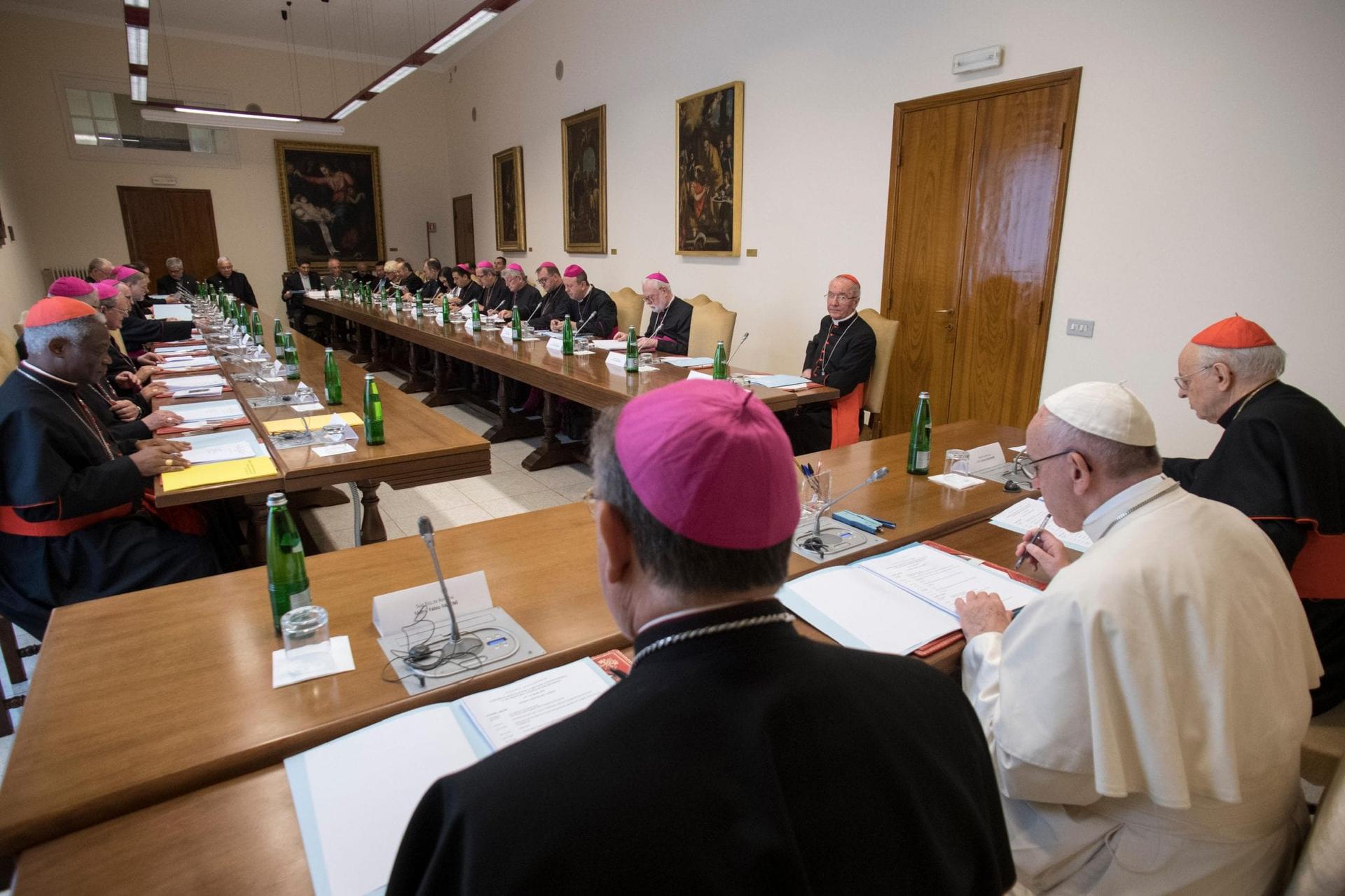 Pope joins meeting to prepare synod for the Amazon