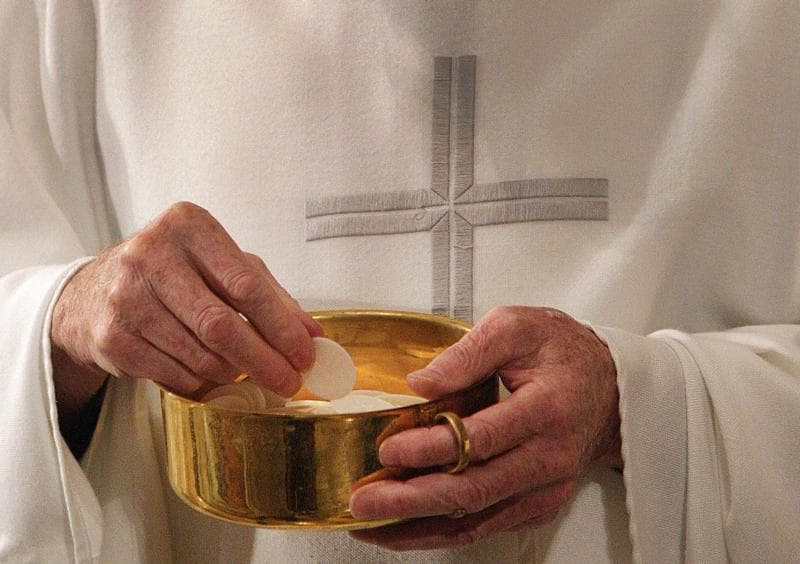 Bread of Life discourse shows Jesus wants to nourish, accompany