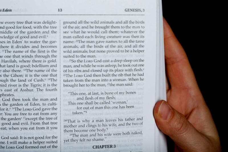 Biblical document does not signal opening to gay marriage, official says