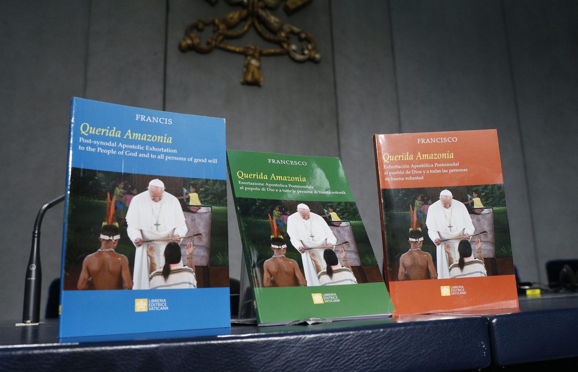 US Catholics respond to Pope’s ‘challenging’ Amazon document