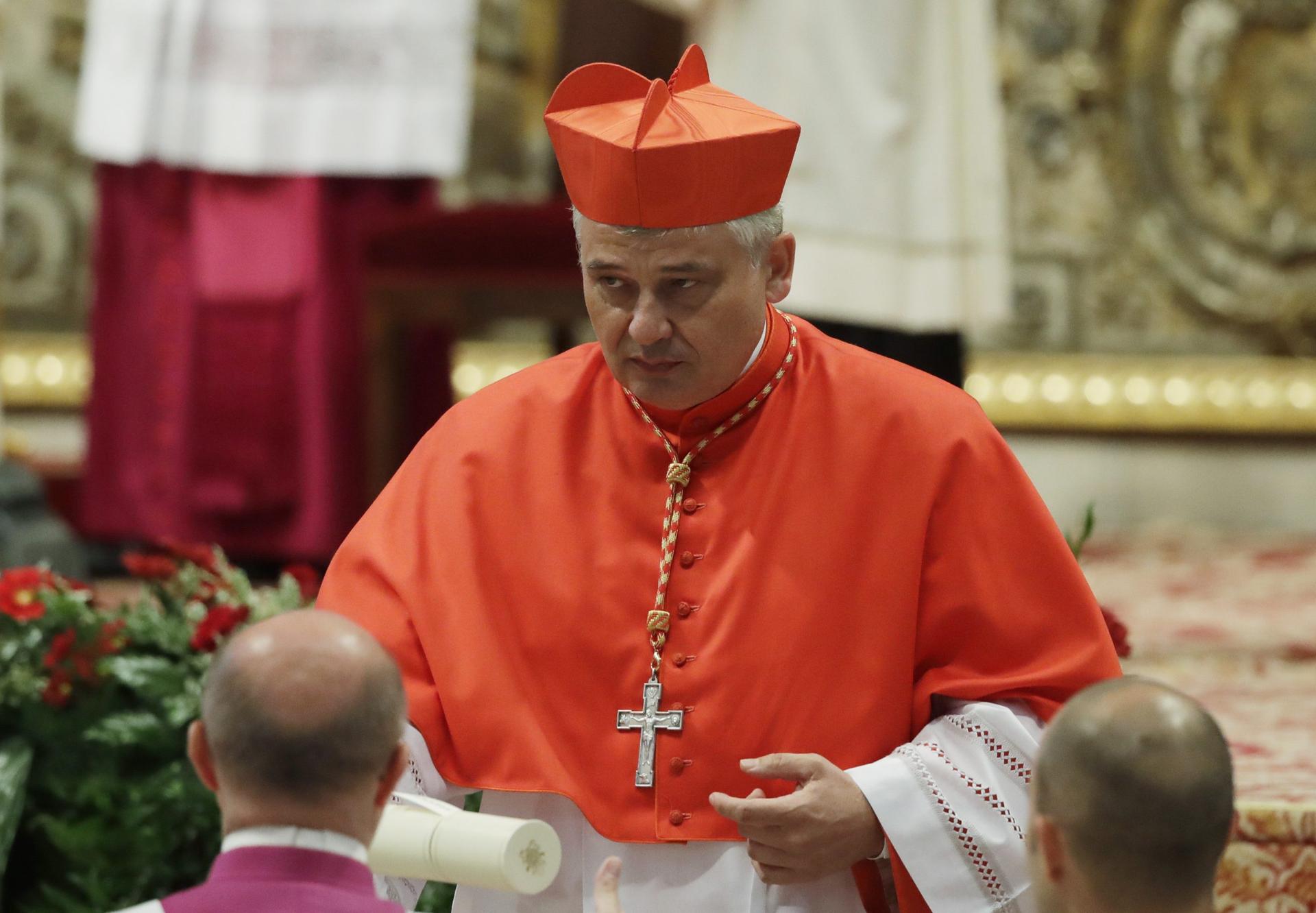Cardinal close to pope says modern-day ‘plague’ boosts ‘Culture of Life’