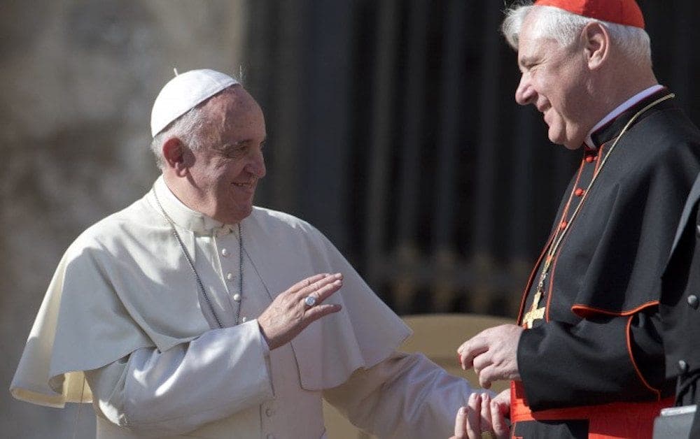 Vatican doctrine czar sees no need for ‘fraternal correction’ of Pope