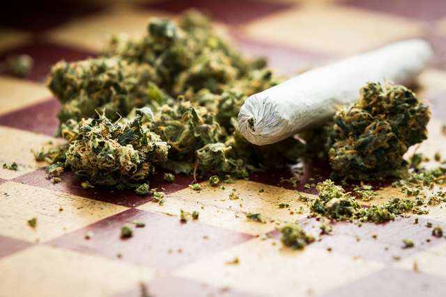 Denver archbishop signs petition to end 4/20 rallies