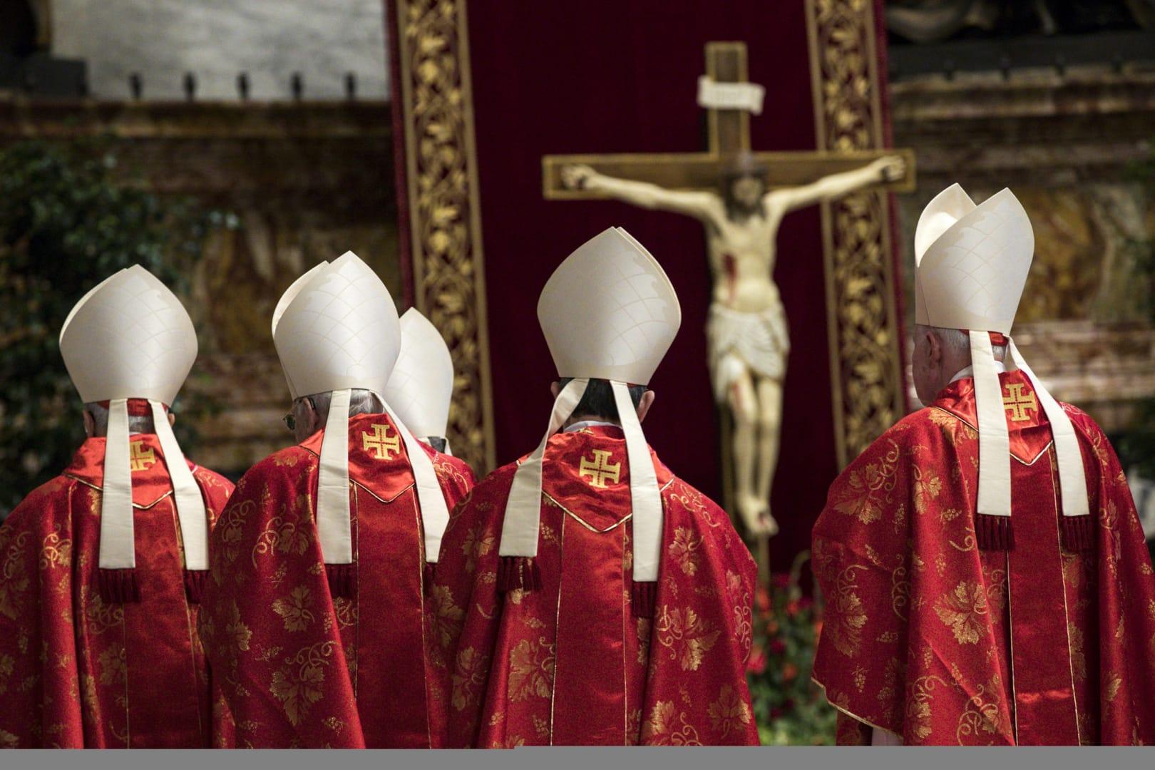Pope’s new crop of cardinals let their colors show