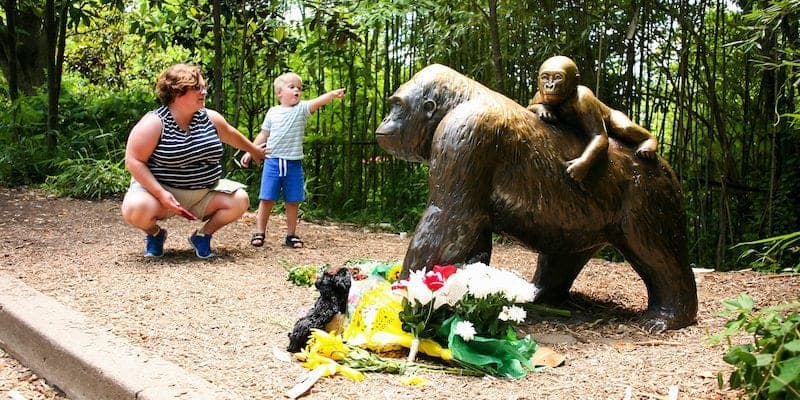 No one celebrates gorilla’s death, but let’s keep our priorities straight