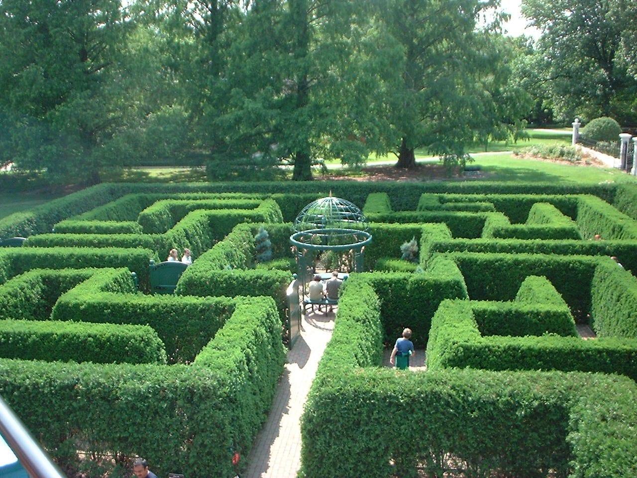 Accepting reality key to beating the maze of pessimism