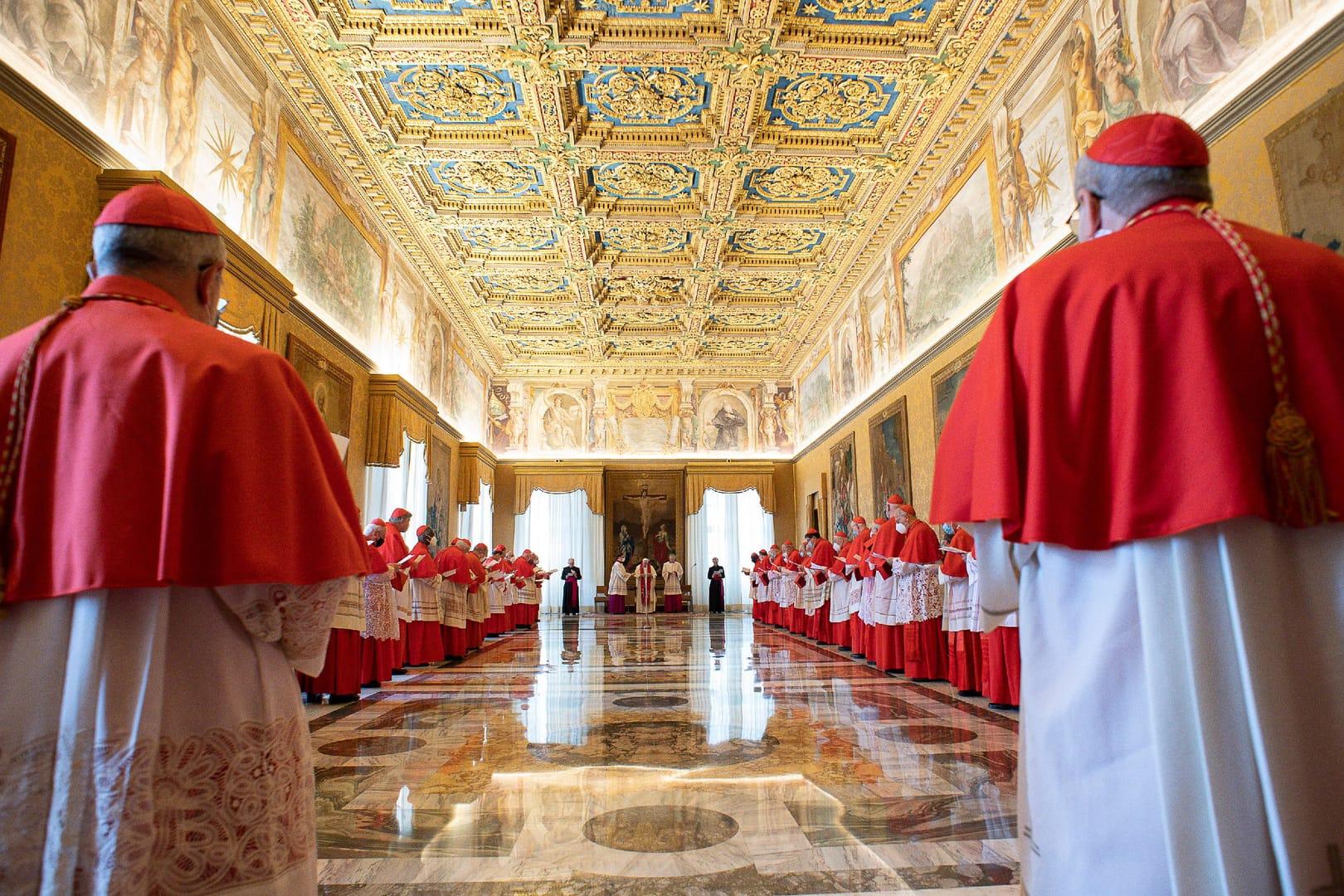 Pope Francis announces 21 new cardinals, including key allies