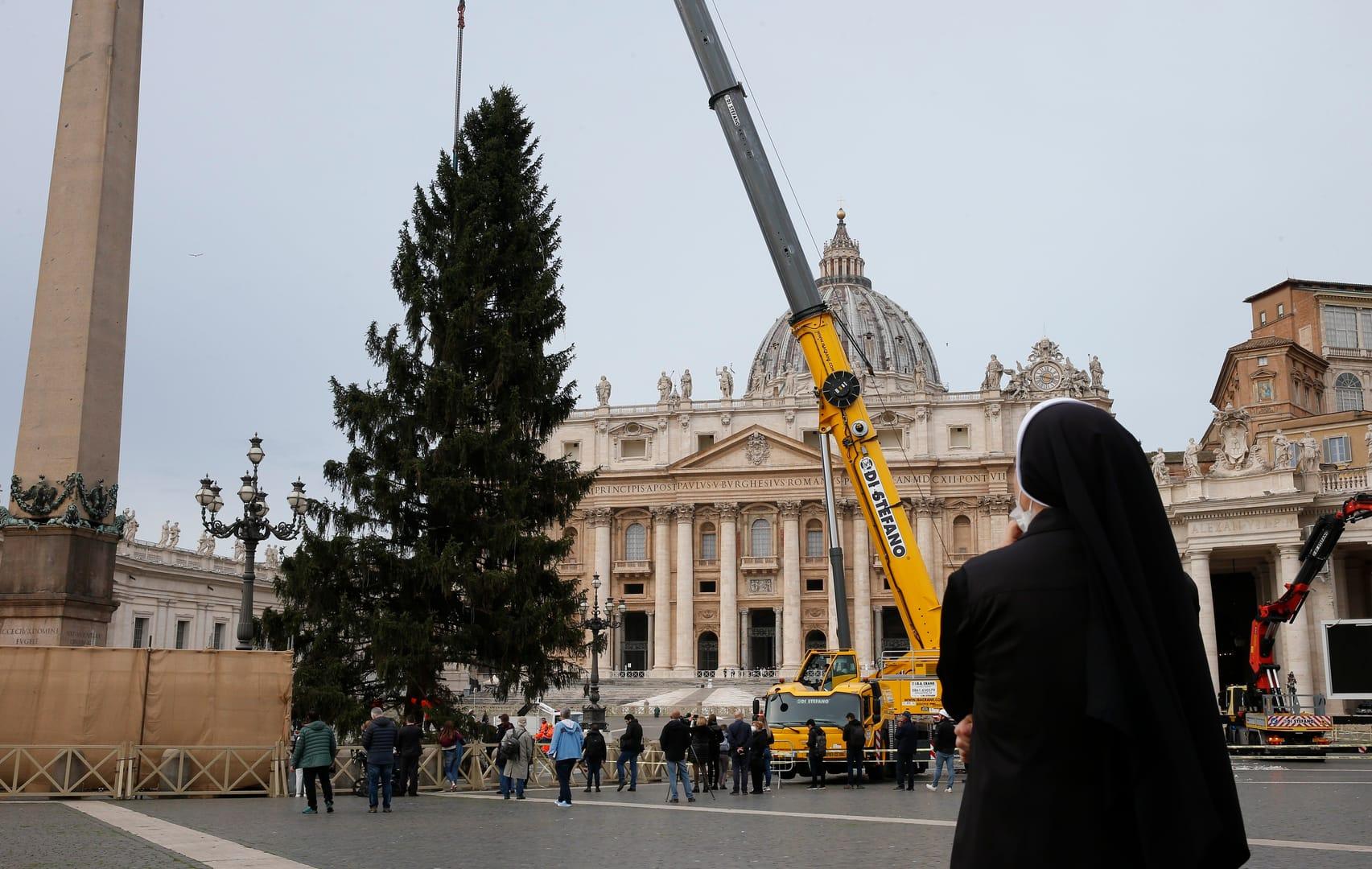 Forest rangers, local towns stop planned cut of Christmas tree for Vatican