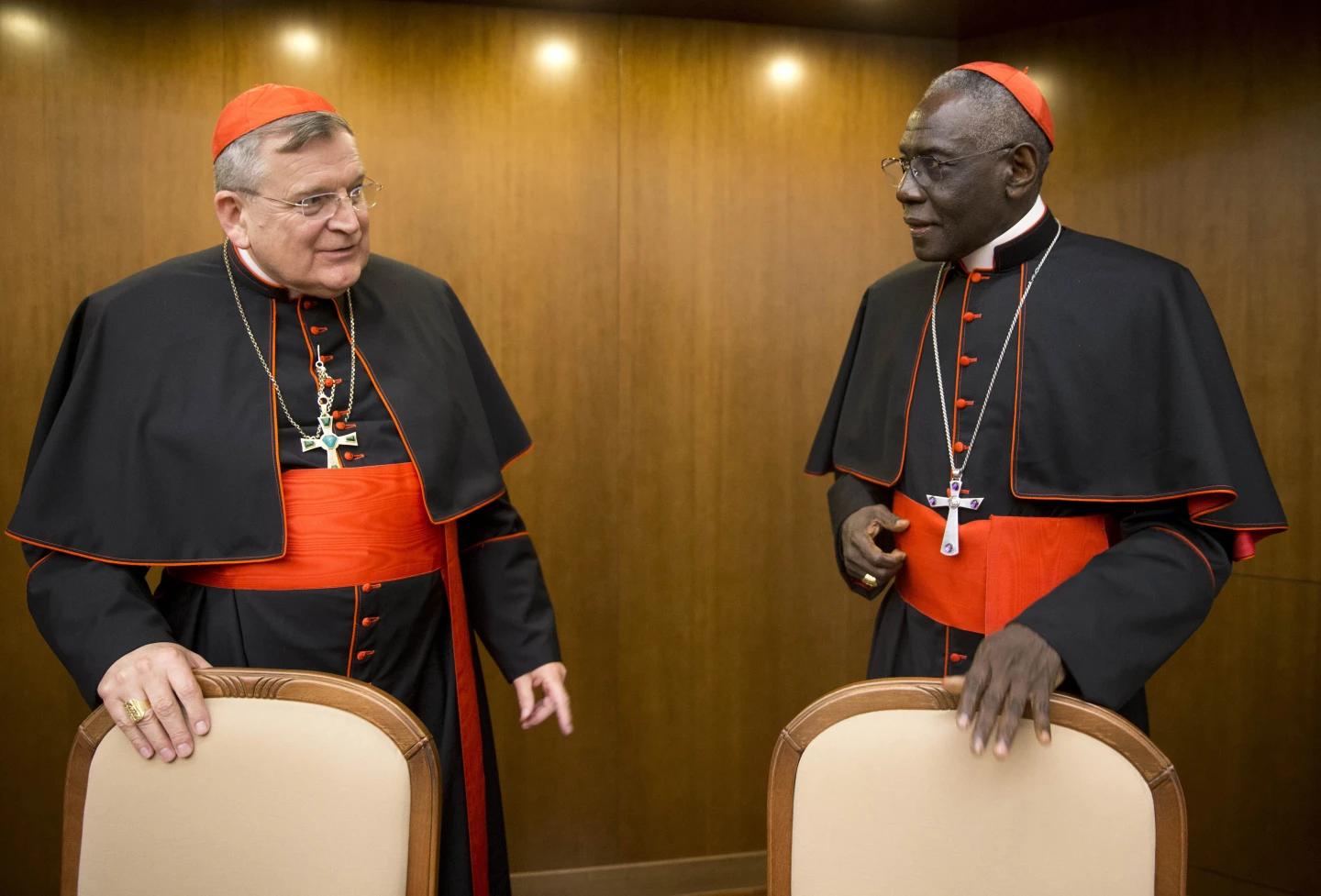 Five conservative cardinals submit new dubia to Pope ahead of synod