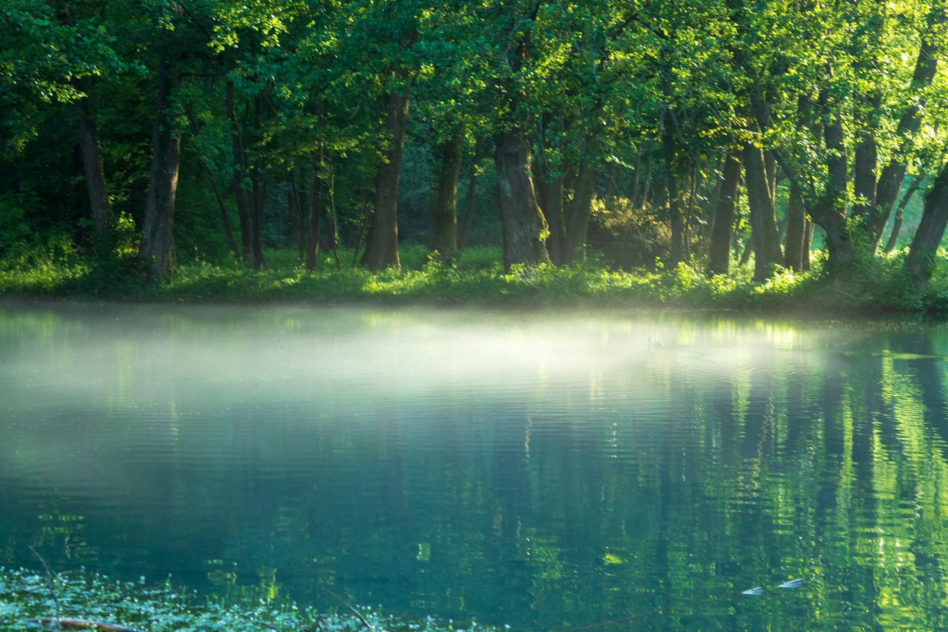 Wellsprings of prayer mark the path of holiness of those who came before