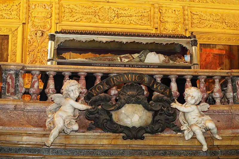 Relics of St. Francis Xavier shown in Goa, India