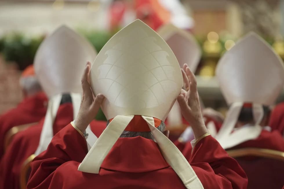 Young people tell cardinals they want a role in the future Church