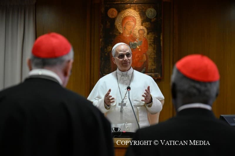 Consistory a chance for Leo XIV to let the cardinals in on his plans
