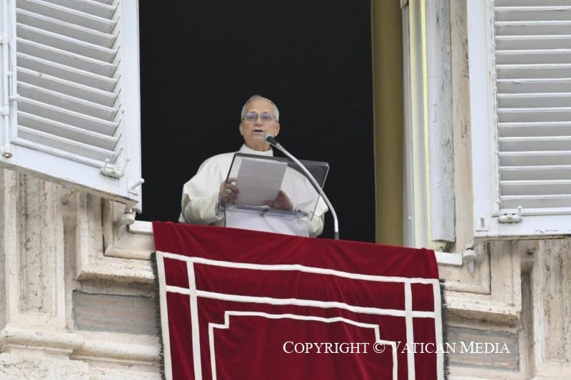 Pope Leo XIV: Angelus appeals for peace in DRC, relief for victims of flooding in southern Africa