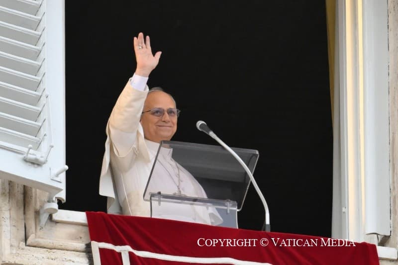 Leo XIV calls for end to violence in Nigeria