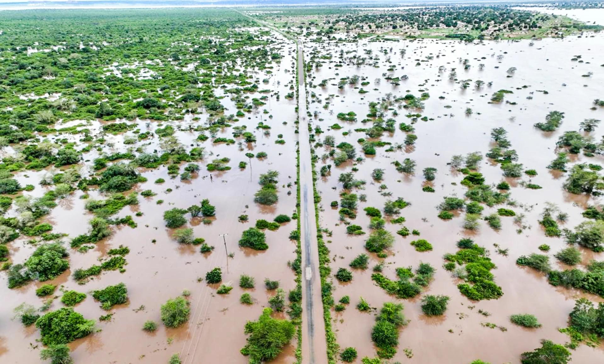 Mozambique Archbishop blames dam management for catastrophic floods
