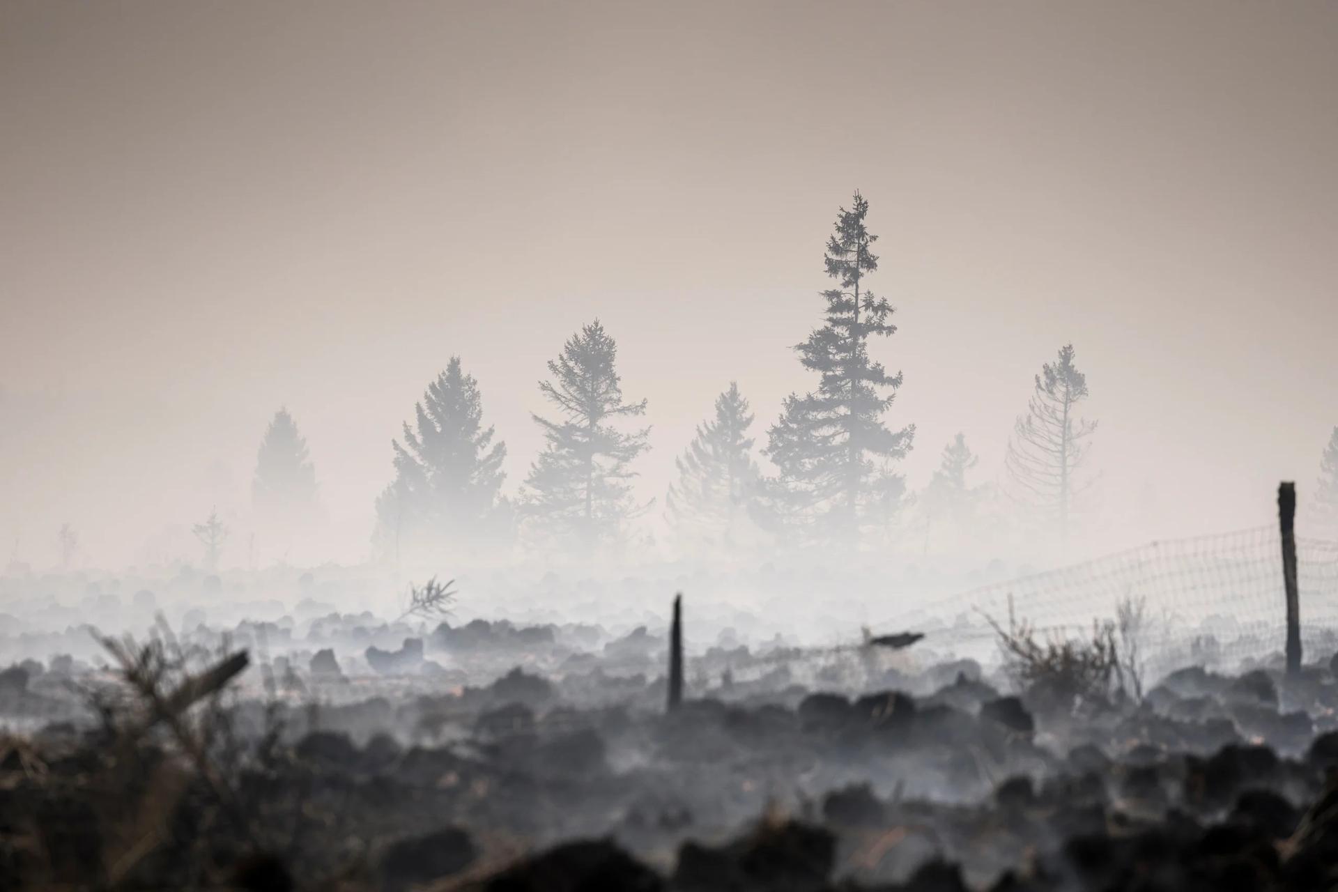 ‘Firefighters battling Europe’s wildfires need spiritual care,’ Netherlands’ first fire chaplain tells Crux Now