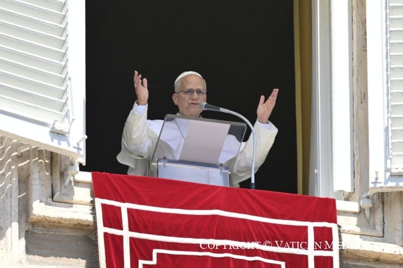 Pope appeals for int’l solidarity as deadly Ebola outbreak spreads
