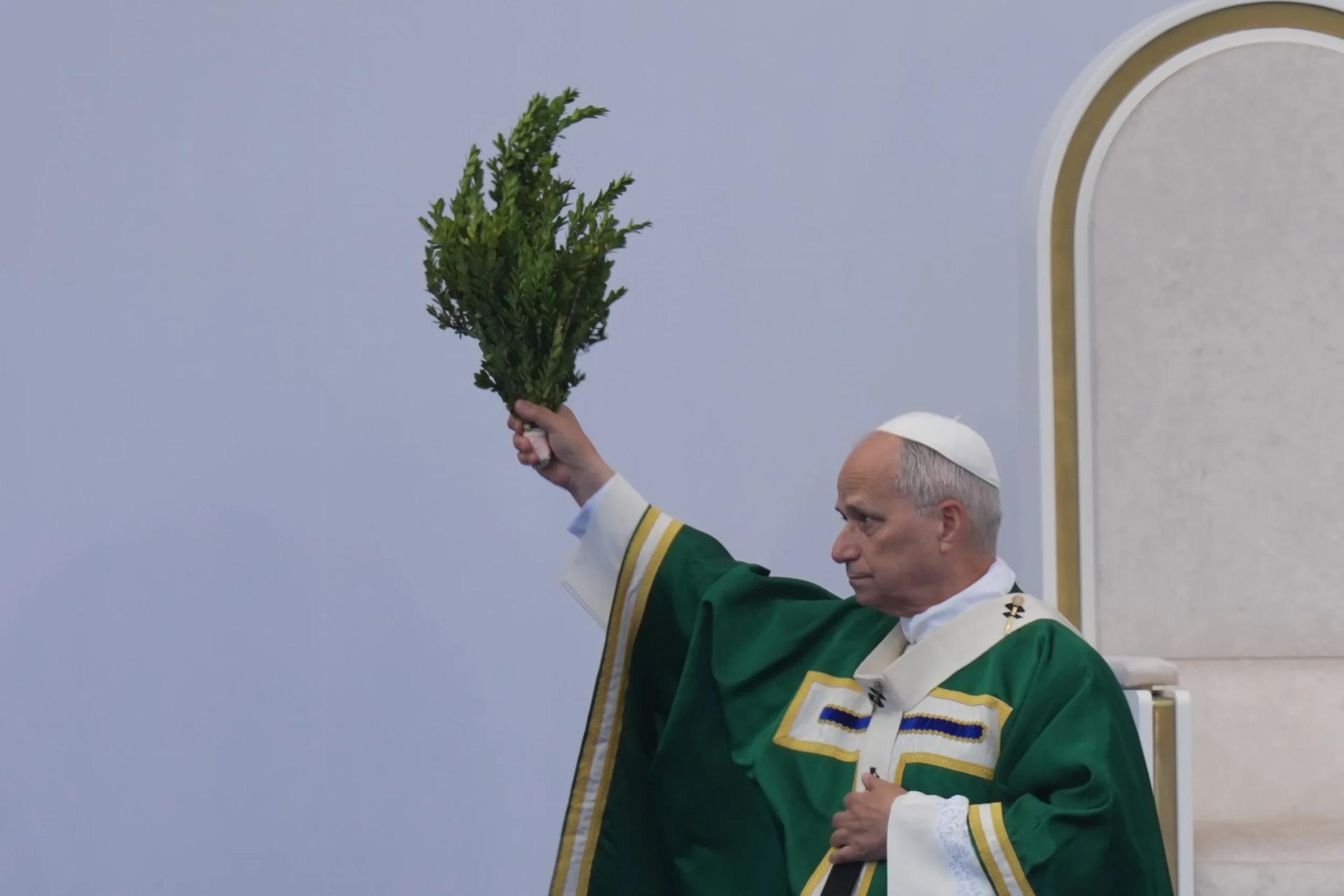 Pope blasts assisted suicide as ‘false compassion’ at French shrine known for miraculous cures